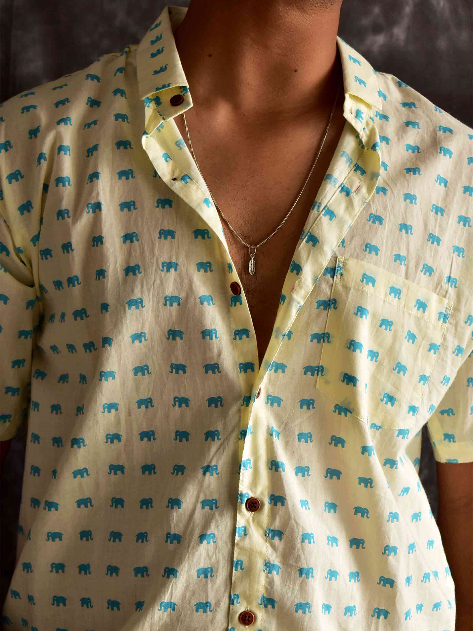Tiny Tots- Printed Shirt