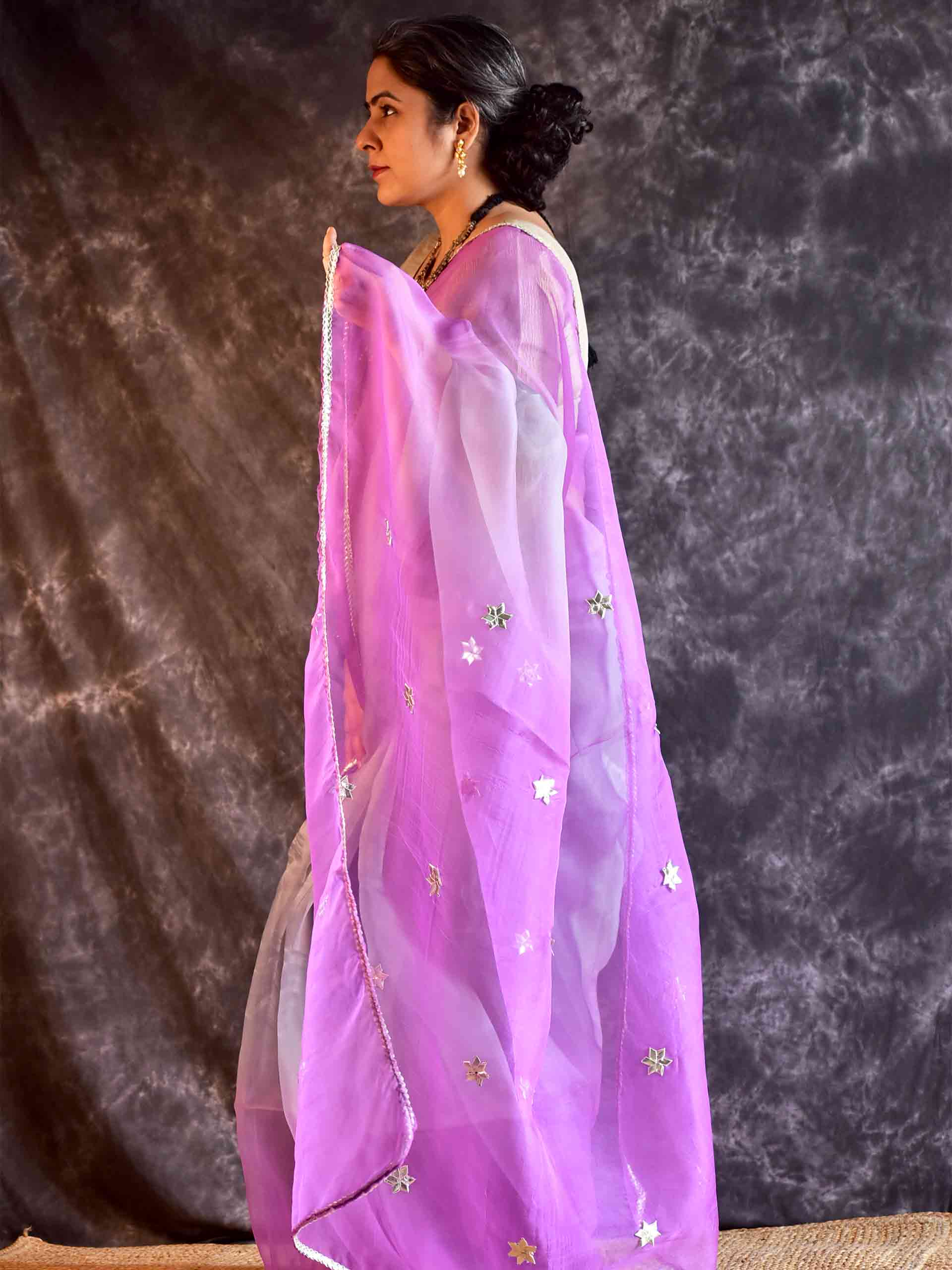 Nooraani- Organza Silk saree