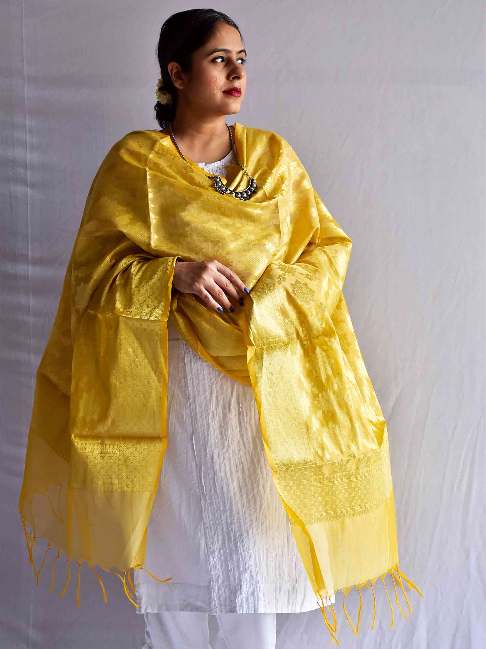 sooraj - Brocade cotton silk Dupatta