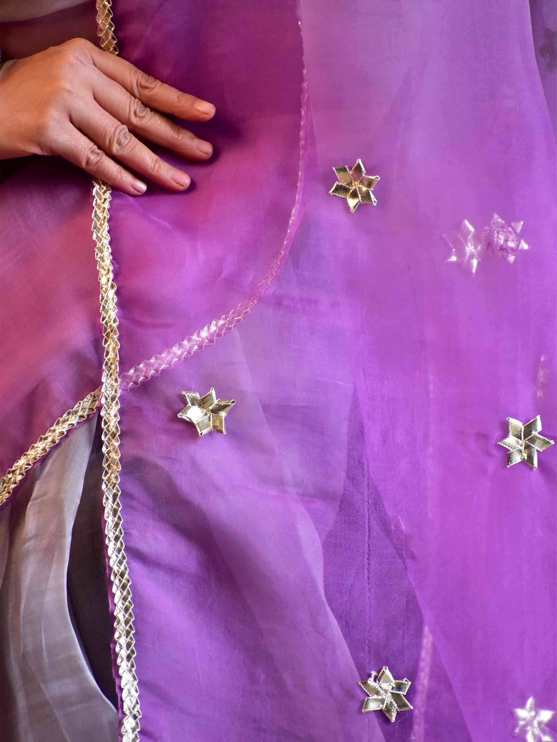 Nooraani- Organza Silk saree