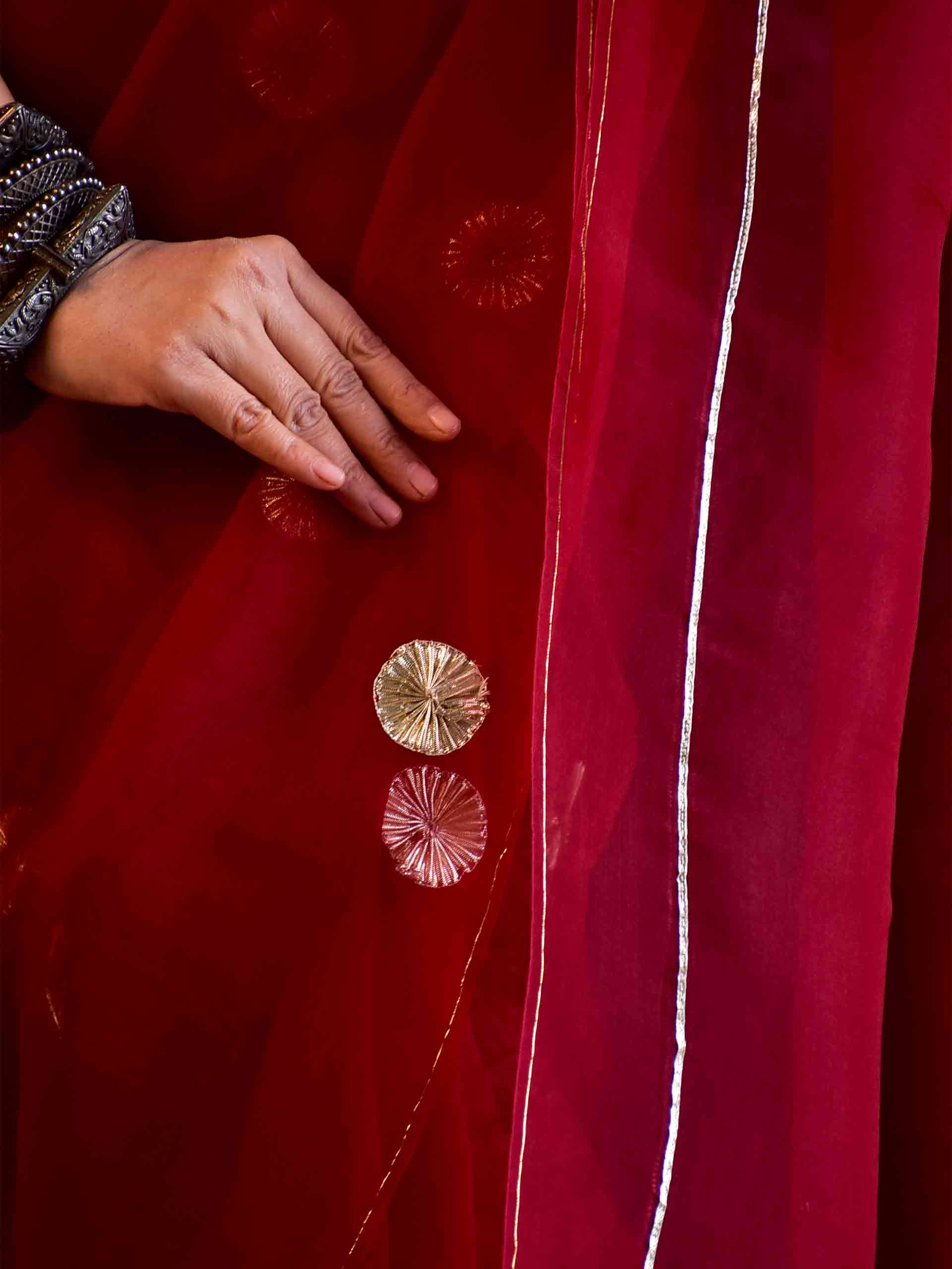 Zehra- Organza Silk saree