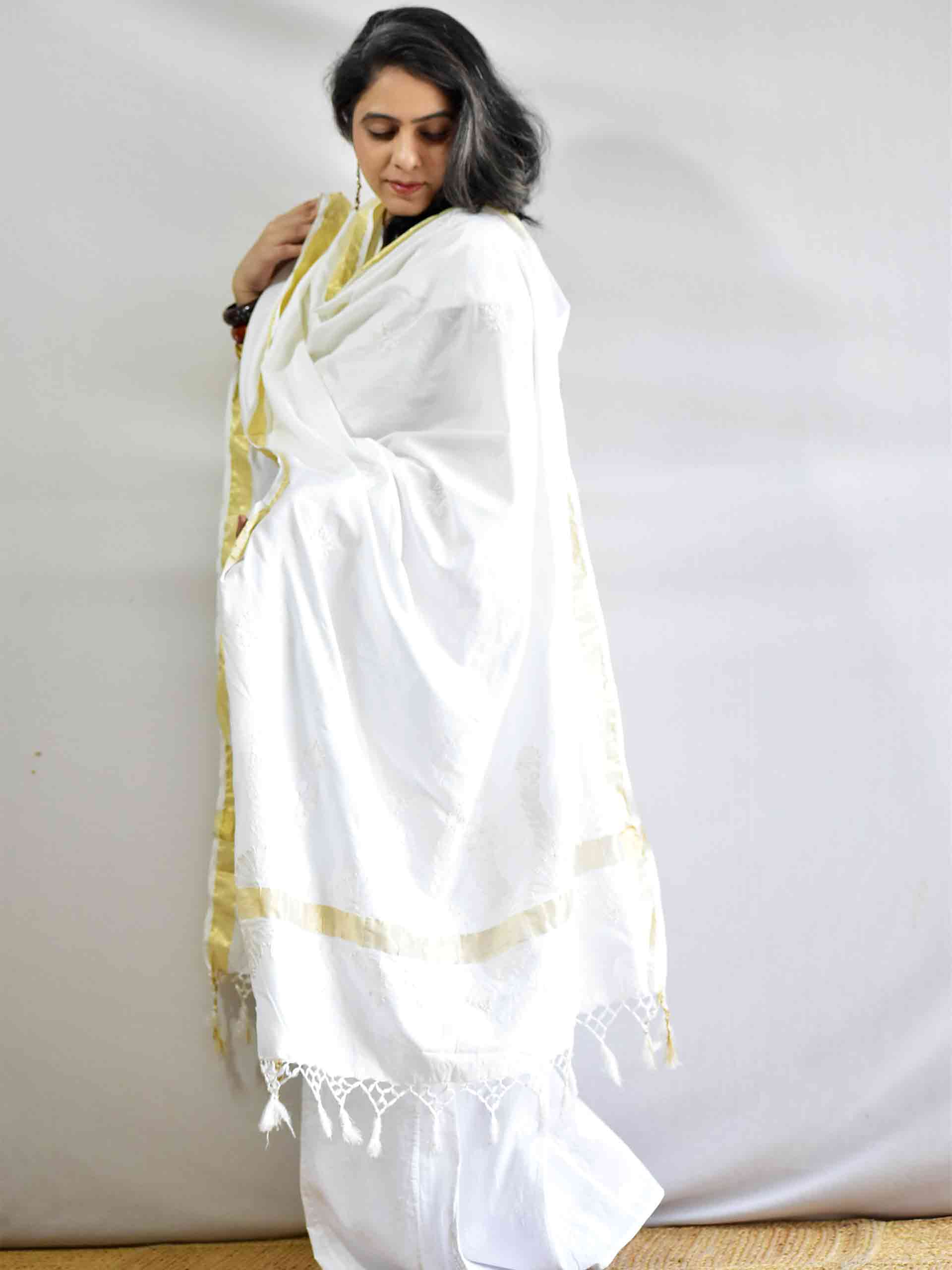 Raas - Chikankari Chanderi Silk Dupatta