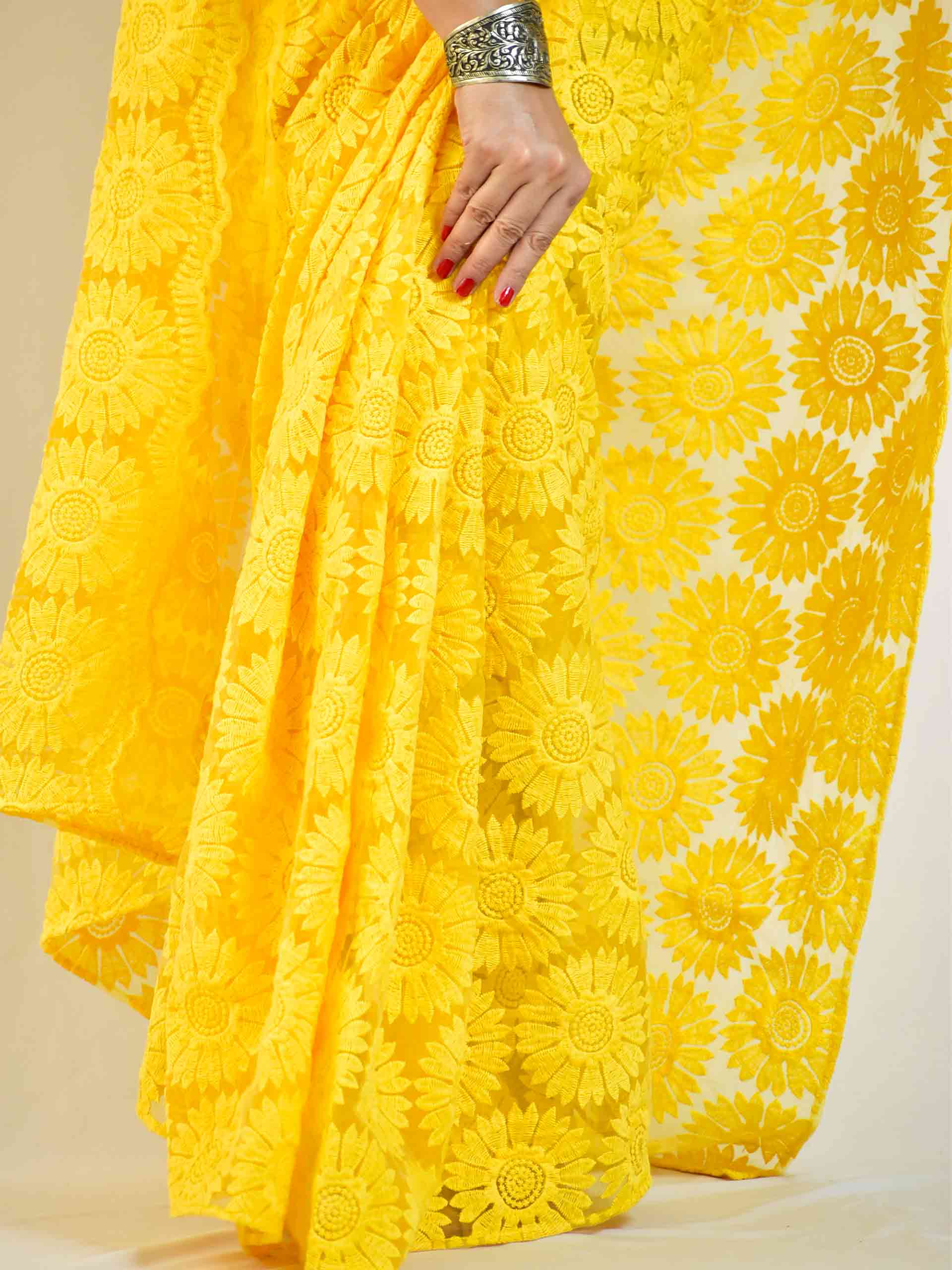 Garden - Organza Embroidered saree
